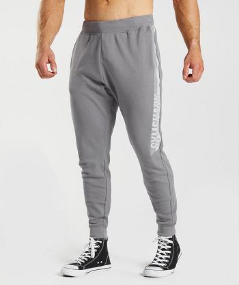 Gymshark Bold React Muške Jogger Hlače Sive | HR 2935XYU